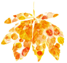 Plakat Chestnut leaf with golden dots texture, hand painted on white