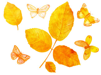 Fototapeta premium Watercolor golden toned leaves and butterflies on white