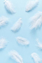 Soft, fluffy white feathers on pastel blue background. Minimalism style. 