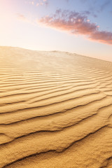 sand dune / bright summer evening before sunset photo