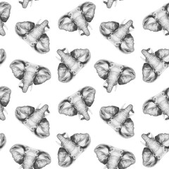 Seamless pattern with hand-drawn Elephant.