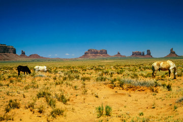 Fototapeta premium Horses in Monument Valley
