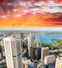 Sydney skyscrapers, aerial view