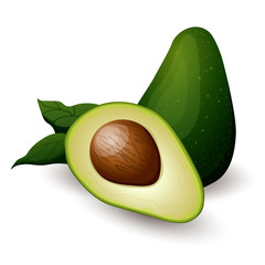 avocado