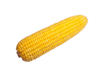 Yellow Corn Cobs on White Background,