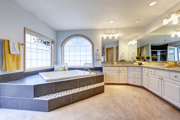 Master bathroom with large mirror, long counter and luxury bathtub