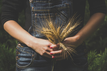 Woman farmer holding an ear of wheat