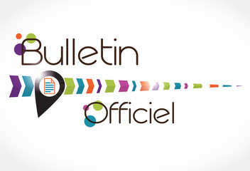 pin's : bulletin officiel france