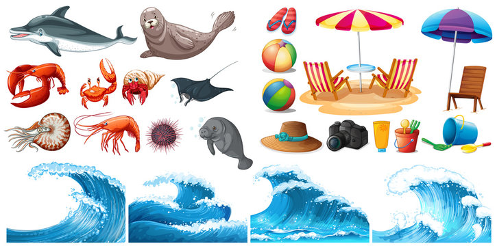 Summer theme set with waves and sea animals