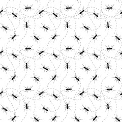 Seamless pattern with black ant. Vector.