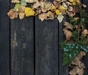 Autumn on a beautiful wooden background.