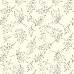 Seamless leaves pattern