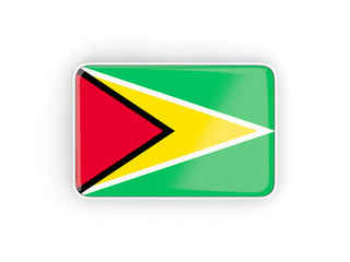 Flag of guyana, rectangular icon