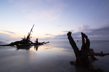Boneyard Beach, Bulls Island, South Carolina
