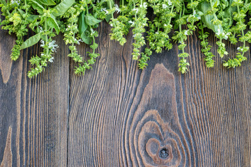 Basil leaves on wooden table in summer garden
