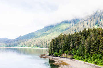 Low Tide in Alaskan Channel