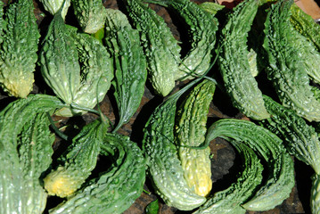 légume margose La Réunion