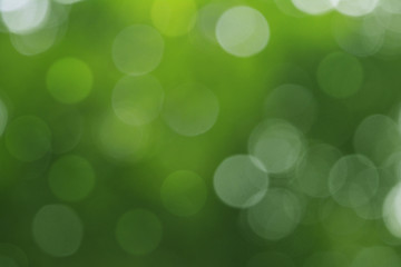Obraz premium Abstract circular green bokeh background.