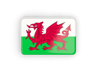 Flag of wales, rectangular icon