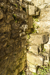 Bewachsene Steine einer mittelalterlichen Stadtmauer