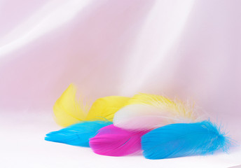 pink textile background with multicolored feathers