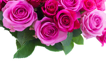 bouquet of fresh pink roses