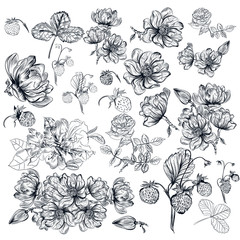 Obraz premium Vector pack of engraved high detailed flowers for design