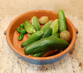 Cucumbers and peppers fresh from the garden