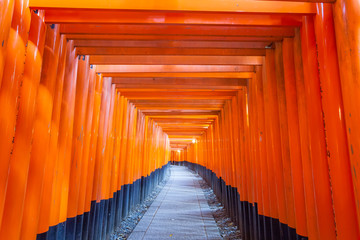 Fototapeta premium Thousands of vermilion torii gates at Kyoto Fushimi Inari Shrine