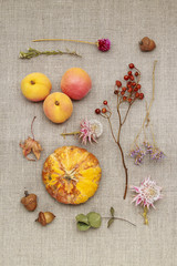 Autumn flowers, plants and fruits on jute background