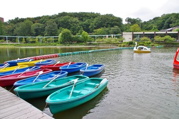 池のカラフルな手漕ぎボート