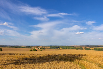 Obraz premium Schatten