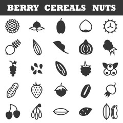 Nuts and berries and grains icon set