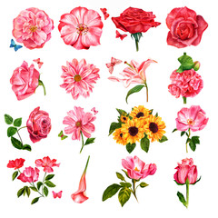 Set of vector watercolor flowers, painted on white background