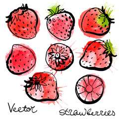 Set strawberry painted a black line on a white background. Bright berries abstract watercolor stains