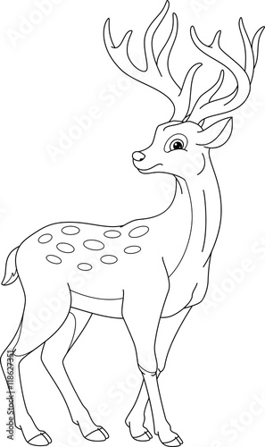 "Sika Deer Coloring Page" Stock image and royalty-free vector files on