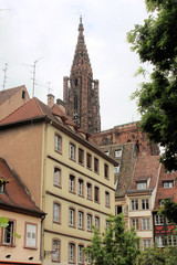 Fototapeta premium Altstadt und Kathedrale in Straßburg
