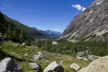 Mountain panorama