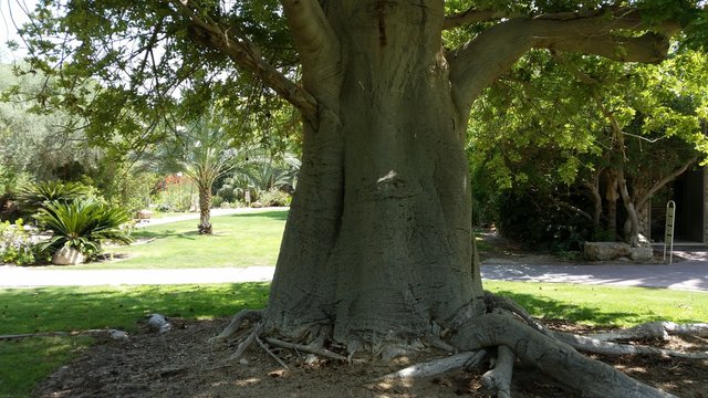 Ein Gedi ,israel