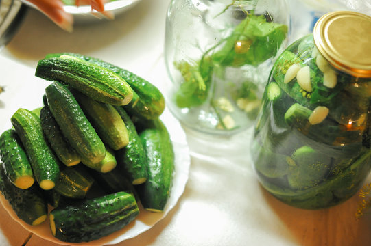 People are preparing in the kitchen. pickling cucumbers, preparation for winter salting.