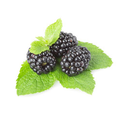 Blackberry and mint leaves on a white background. Isolated