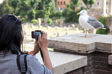 Woman photographing sea gull on background  Roman Forum, Roma