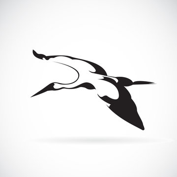 Vector of a flying stork on white background.