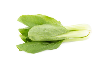Pok Choi on white background