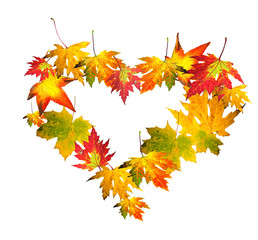 Alter: Liebe im Herbst: Herzen aus bunten Blättern :)