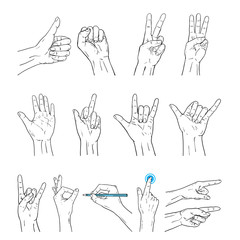 Vector hands sign gesture set. Illustration of human hands