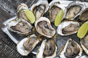 Tasty oysters on ice with lemon.