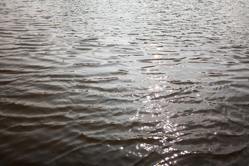 Calm surface of real river water with sunlight reflection. Horizontal color photo. Shiny water background.