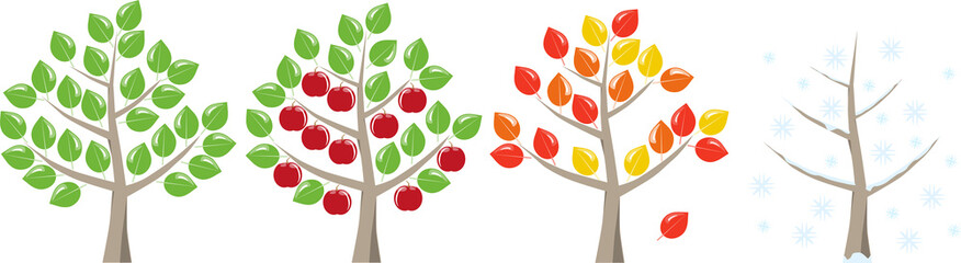 Vier Jahreszeiten eines Obstbaums