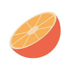 orange organic healthy natural food icon. Flat and Isolated illustration. Vector illustration